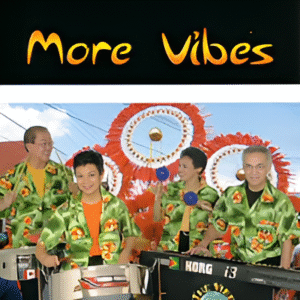 The Vibes - More Vibes